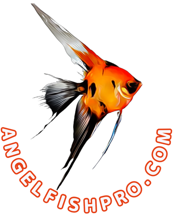 www.AngelfishPro.com logo
